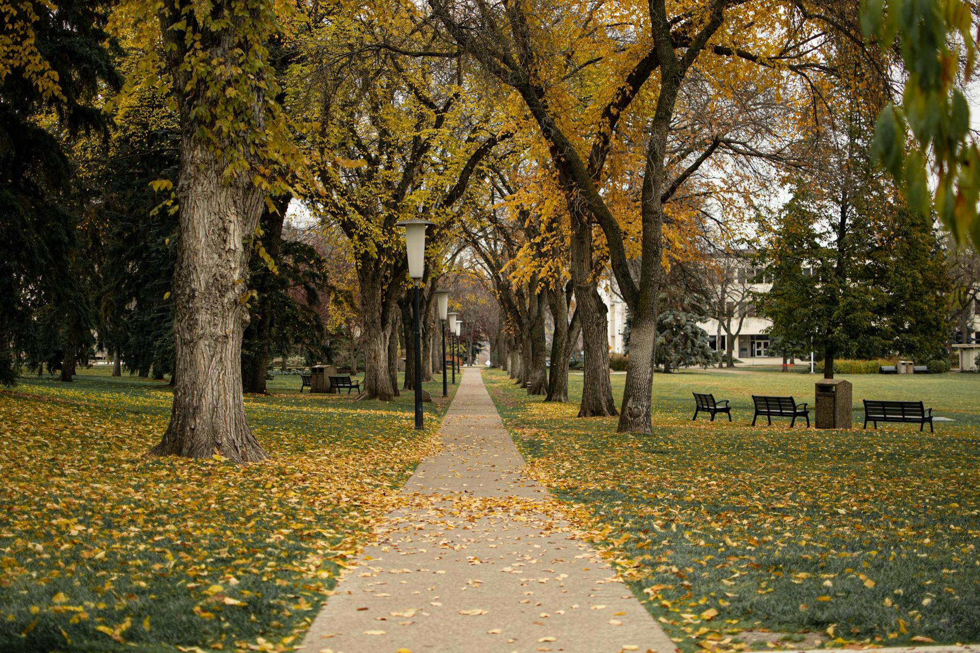 Family-friendly park in established Edmonton neighbourhood near quality homes