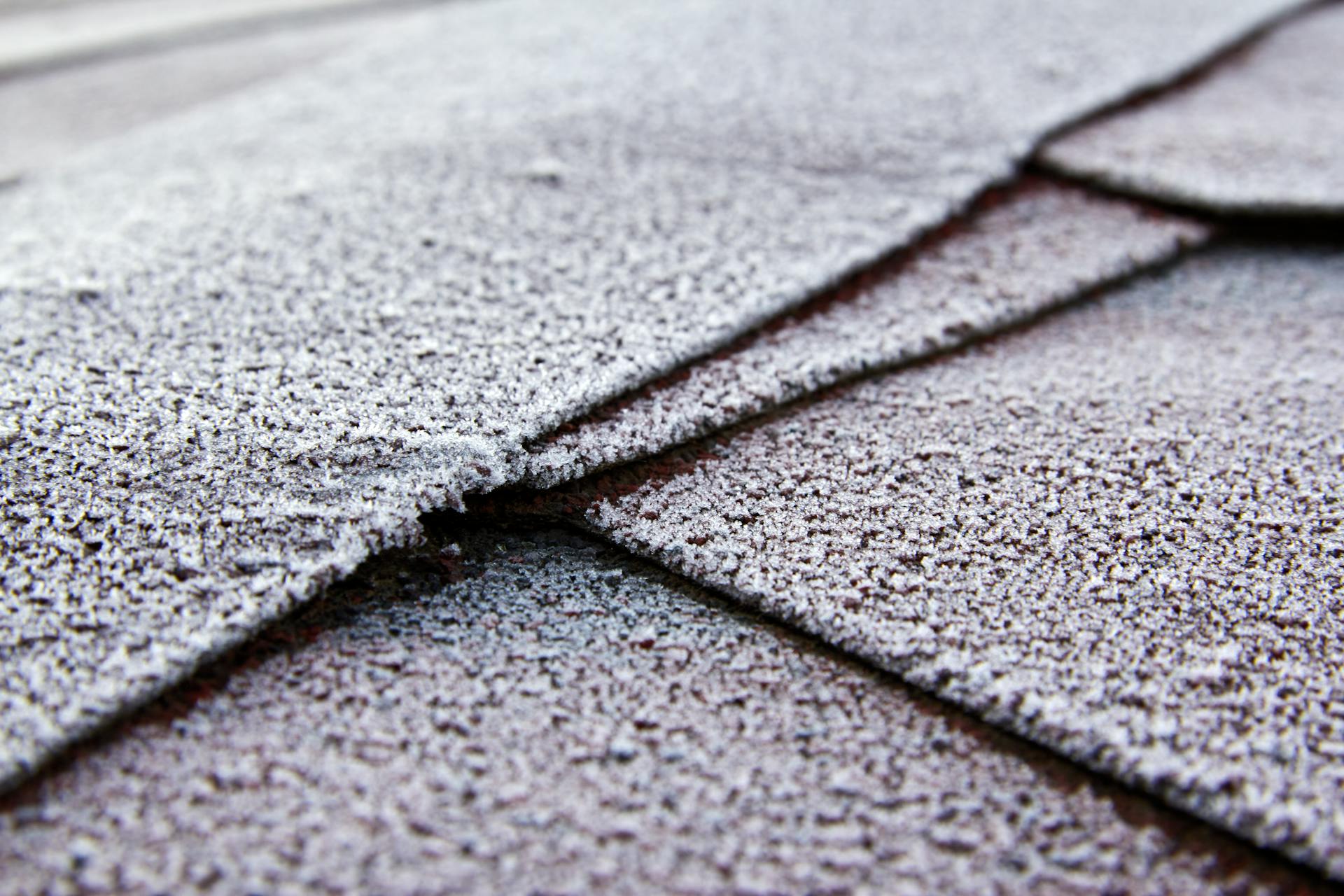 Damaged roof shingles on Edmonton home showing signs of age and weather wear
