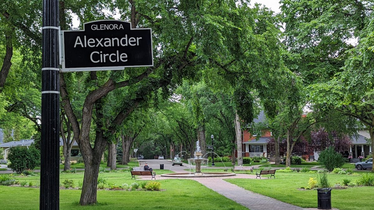 Peaceful neighbourhood street with single-family homes and mature spruce trees in autumn, representative of the heritage architecture across homes for sale in Glenora.