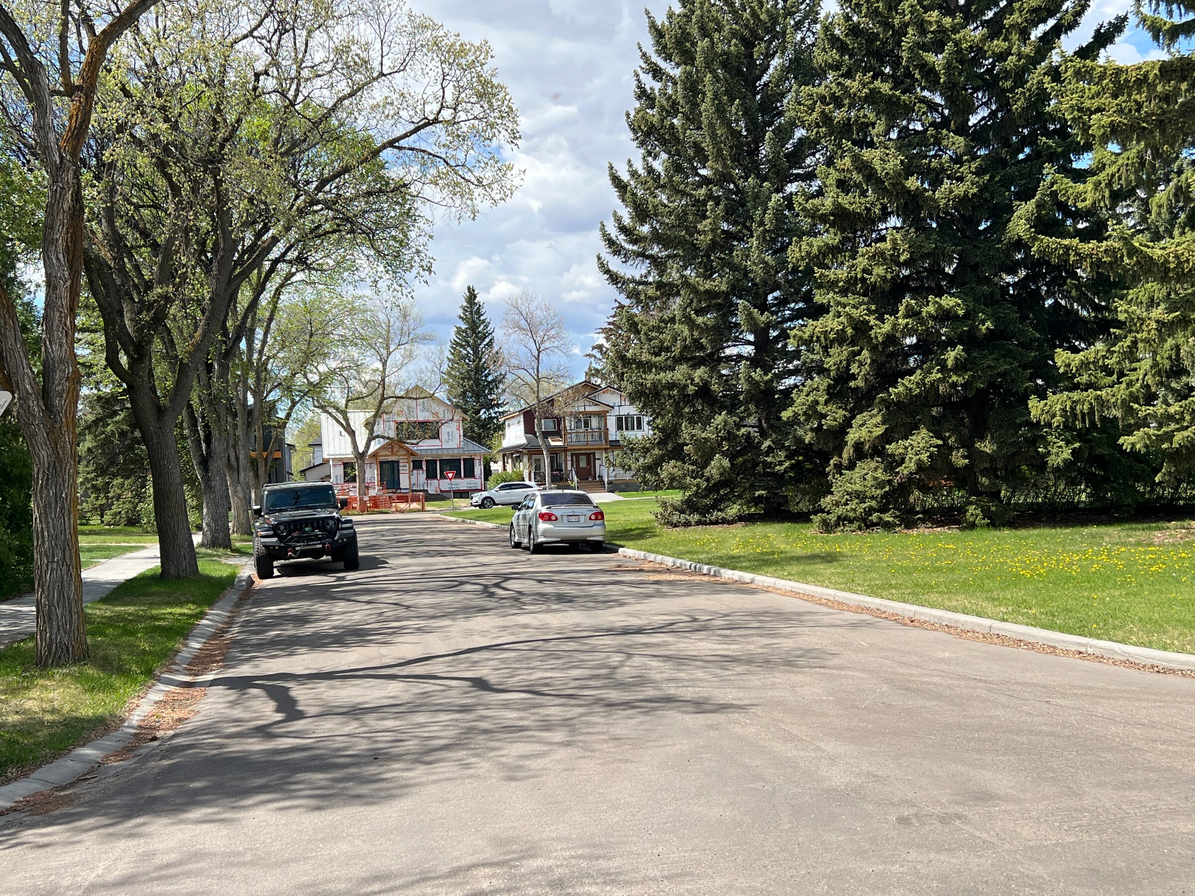 Tree-lined residential street with mature landscaping in North Glenora, Edmonton