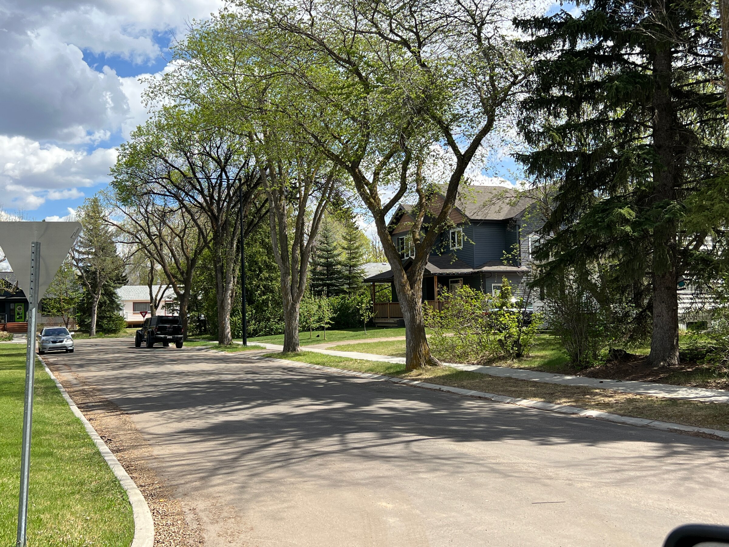 Tree-lined residential street with character homes in North Glenora, northwest Edmonton