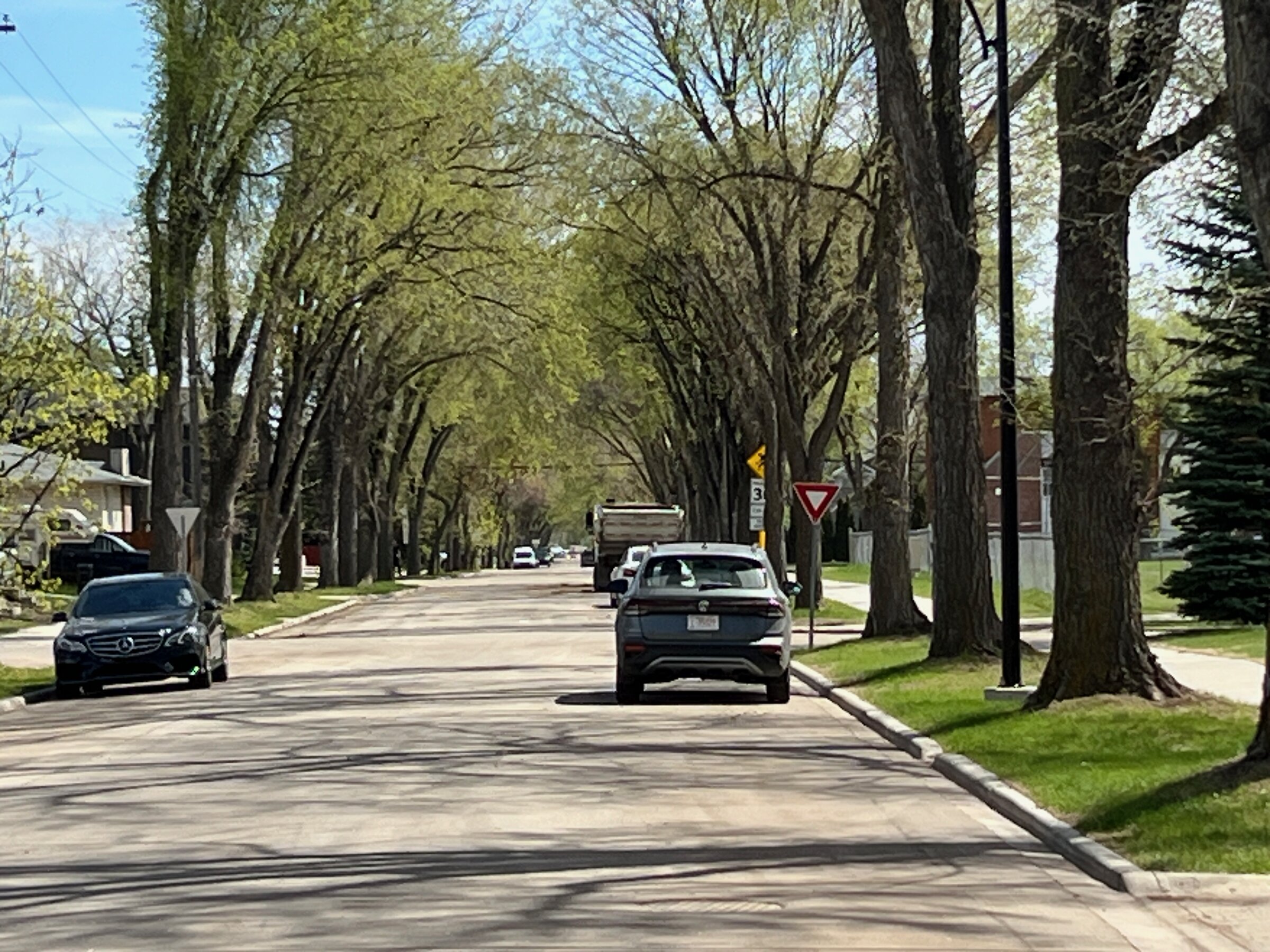 Homes for sale in Woodcroft, Edmonton: a tree-lined residential street with a mature tree canopy