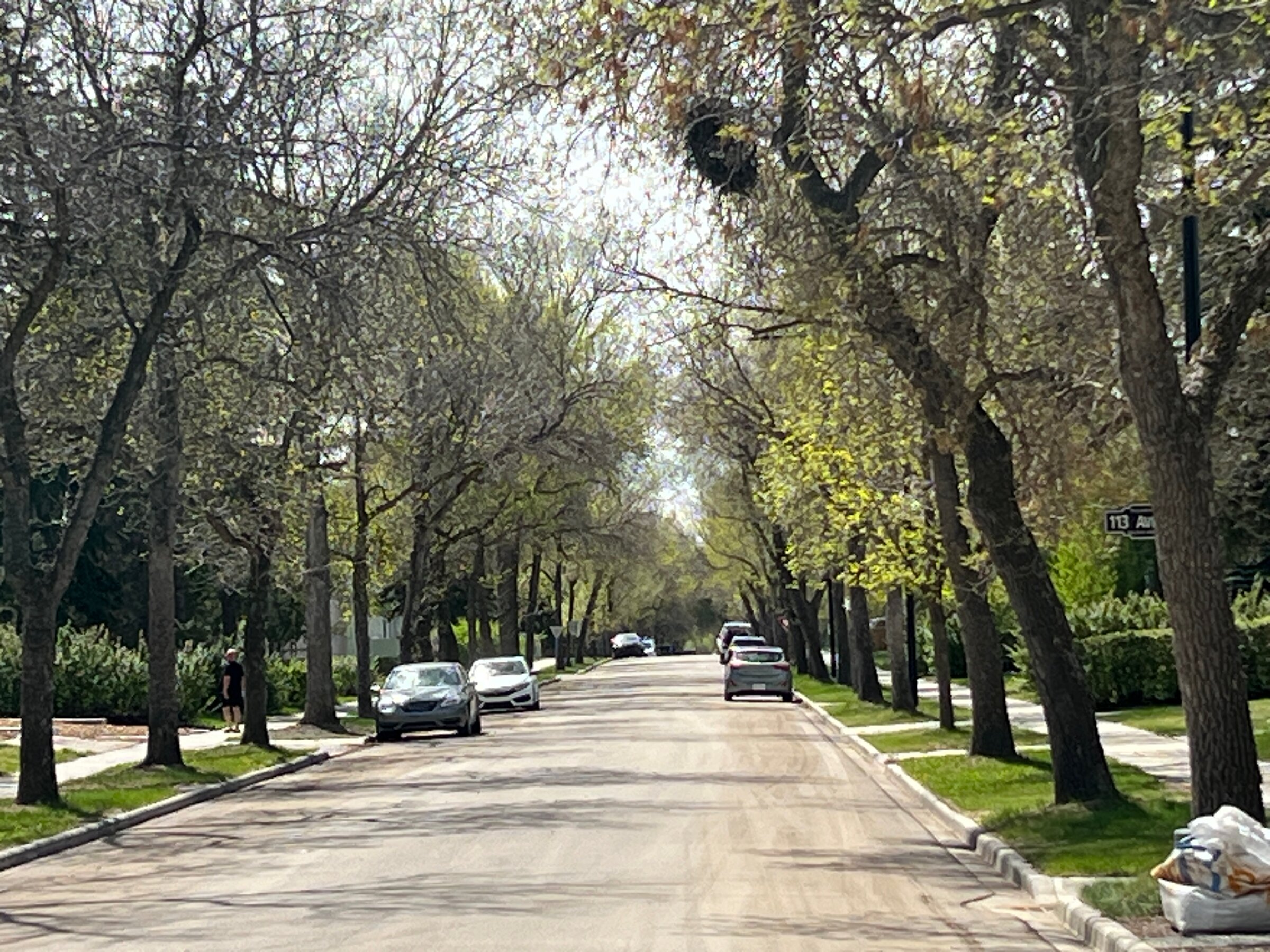 Tree-lined residential street with mature canopy, sidewalks, and parked cars in Woodcroft, Edmonton