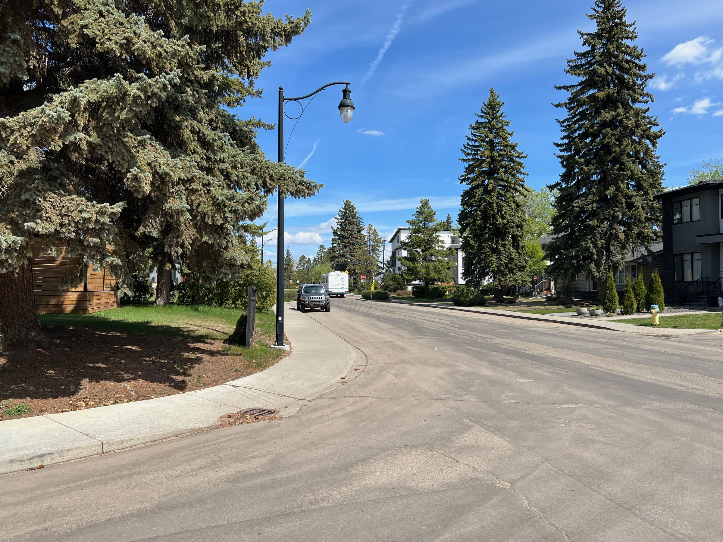 Modern infill homes and mature spruce trees on a Crestwood, Edmonton street