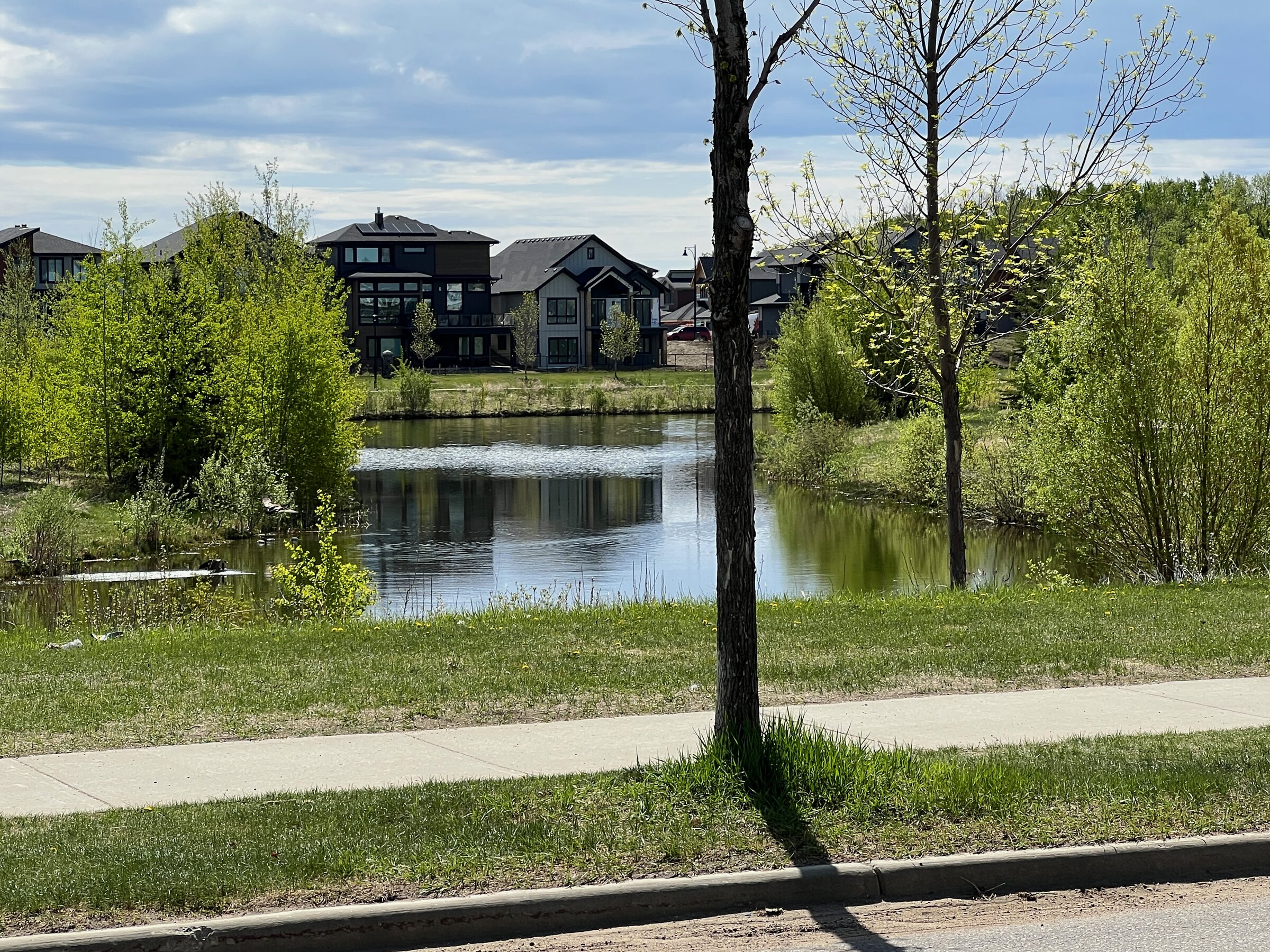 A stormwater pond and walking path in Granville, Edmonton